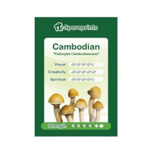 Cambodian  Psilocybe cubensis spores