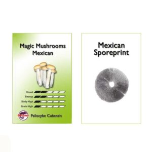 magic mushroom Mexican Spore print