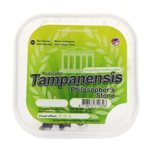 Tampanensis Magic Truffles
