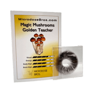 Golden Teacher Spore print