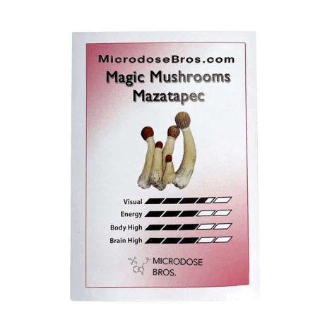 mazatapec-1.png Mazatapec Sporeprint