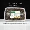 Cambodian Magic Mushroom Paddo Grow Kit 2